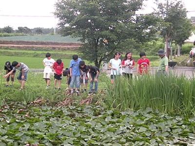 석교초등학교3