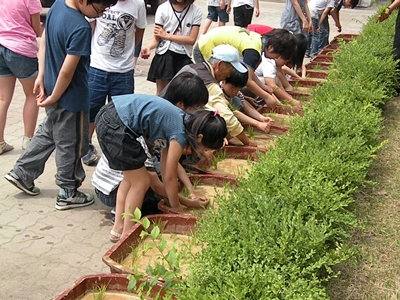 경산초등학교4