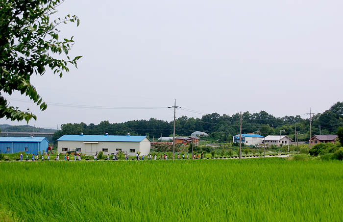 죽림초등학교, 연...