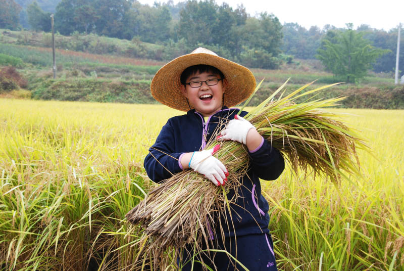 온곡초 3차 수확의...