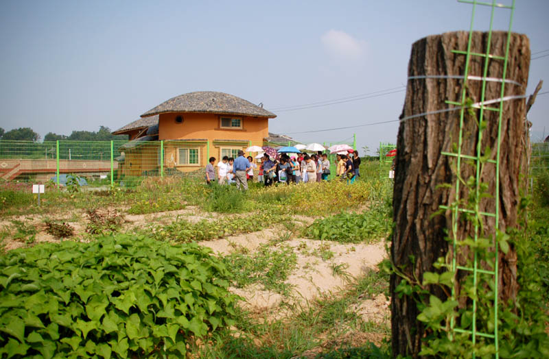 숙명여대 한국음식...