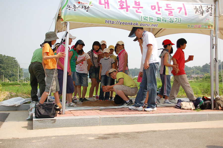 남성초등학교 꽈리...