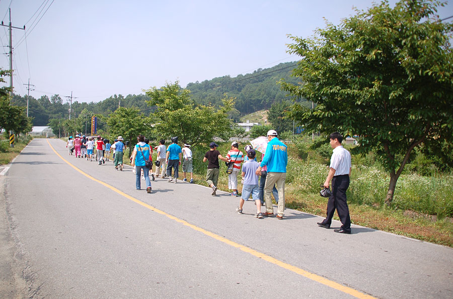 감자밭 가는 길