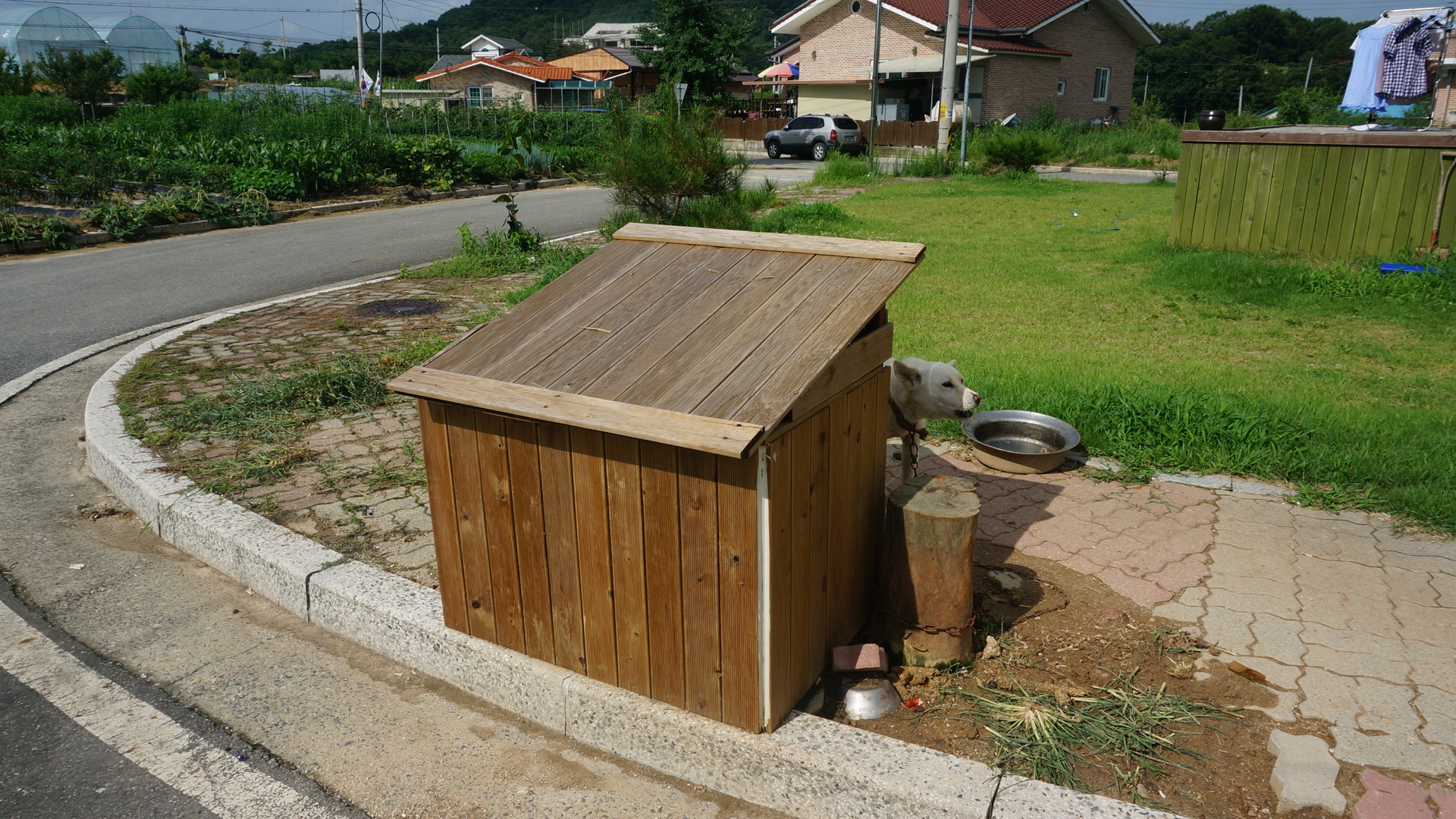 KakaoTalk_20140725_100716944.jpg