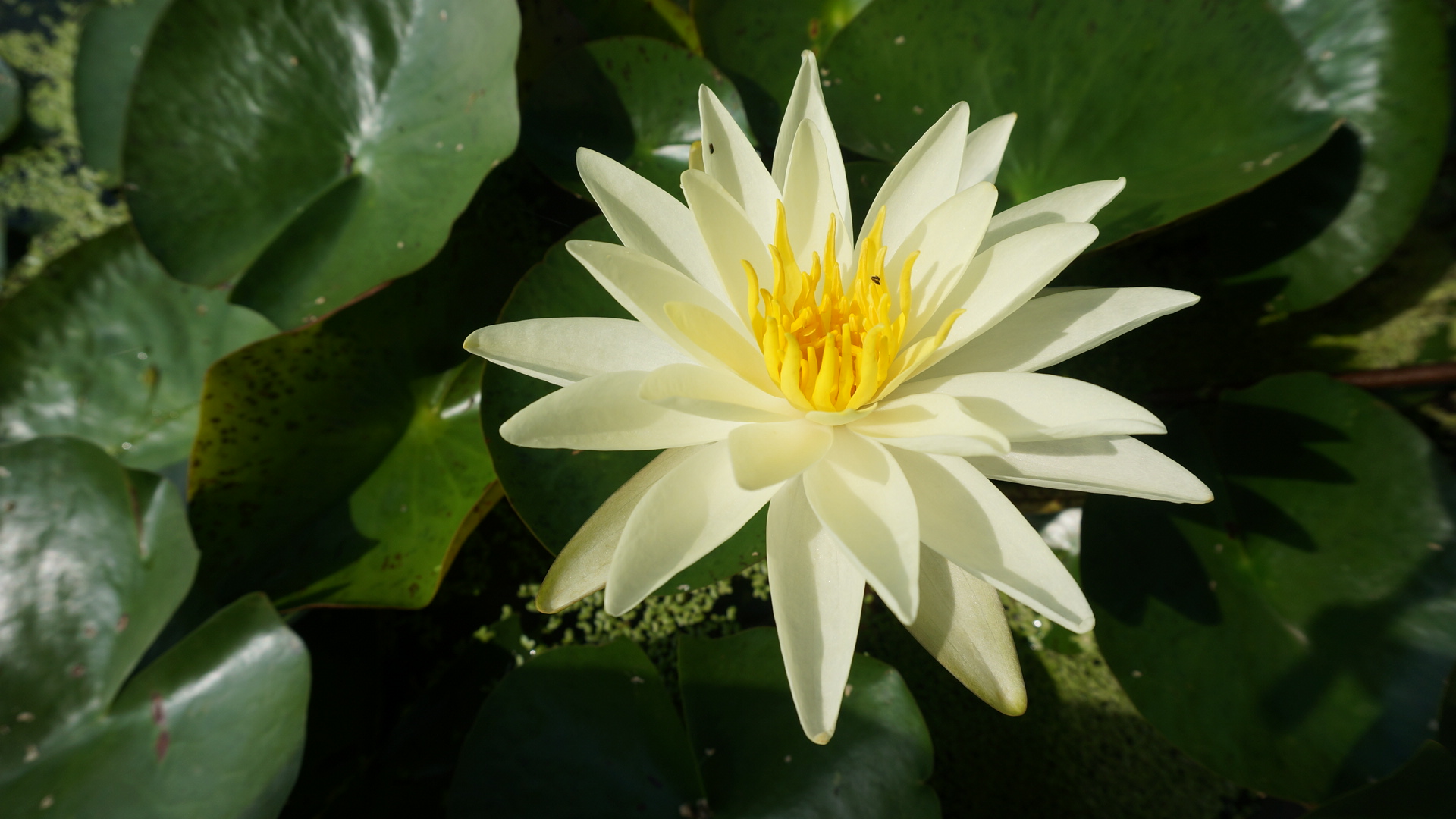 KakaoTalk_20140730_112557523.jpg