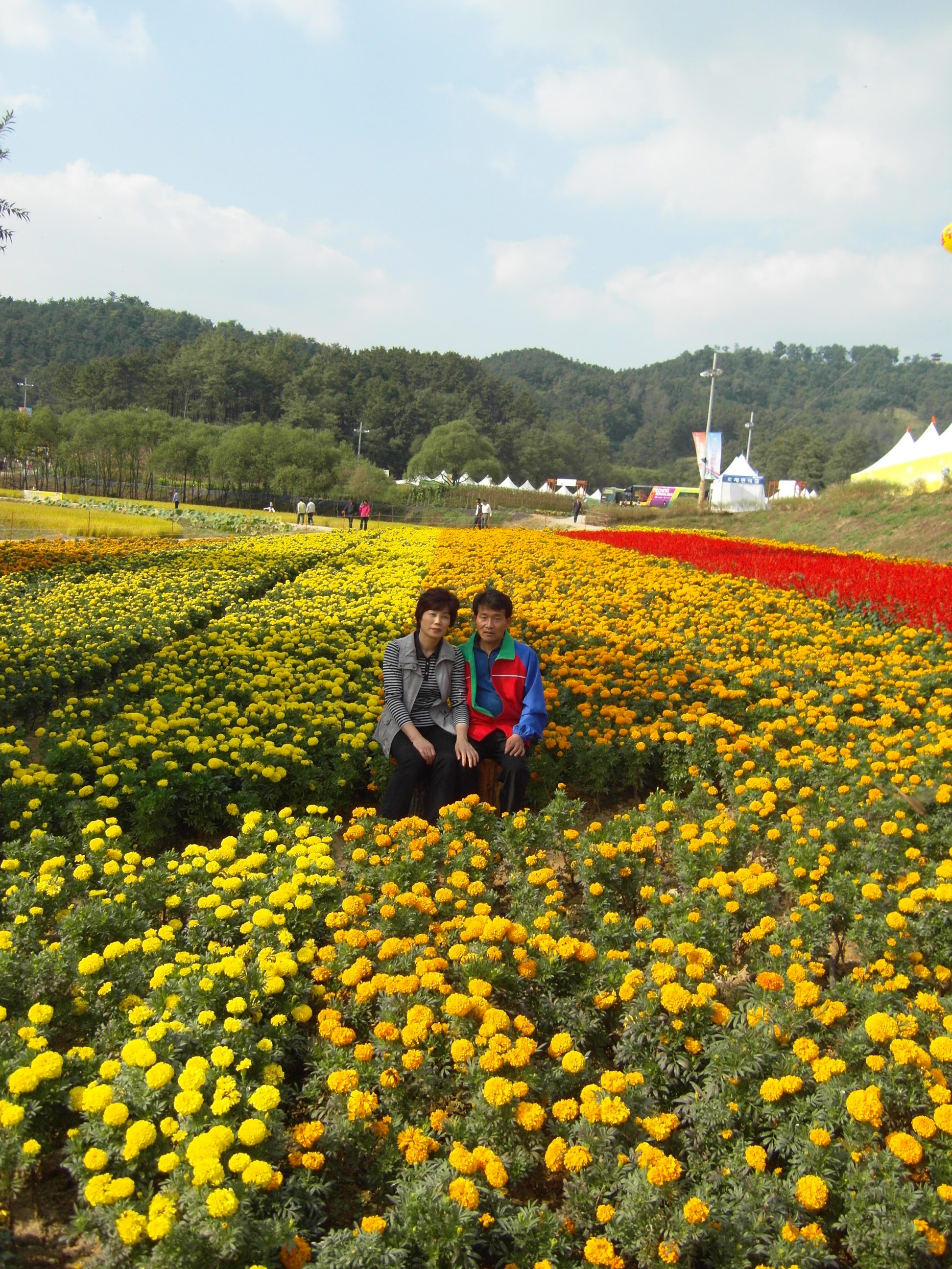 축제장의마을대표...