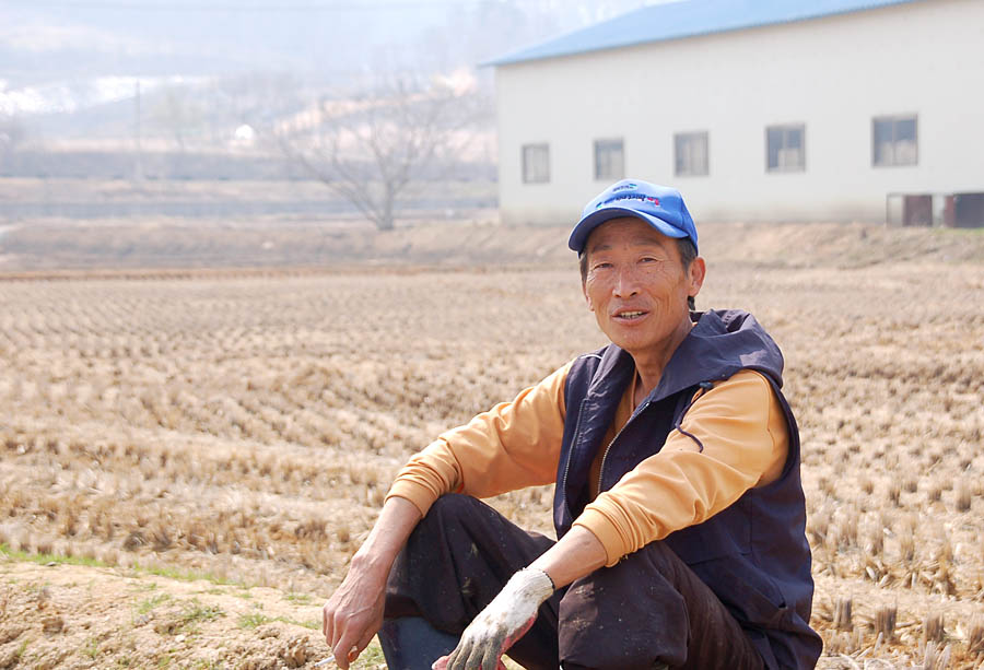 청원연꽃마을을 밝...