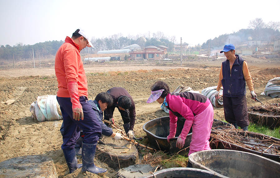 청원연꽃마을을 밝...