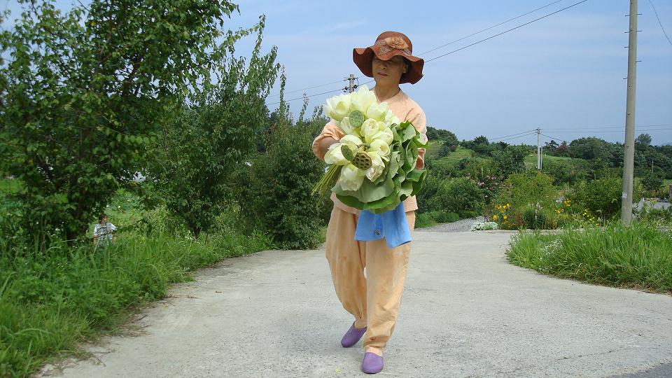 연꽃 채취의 달인